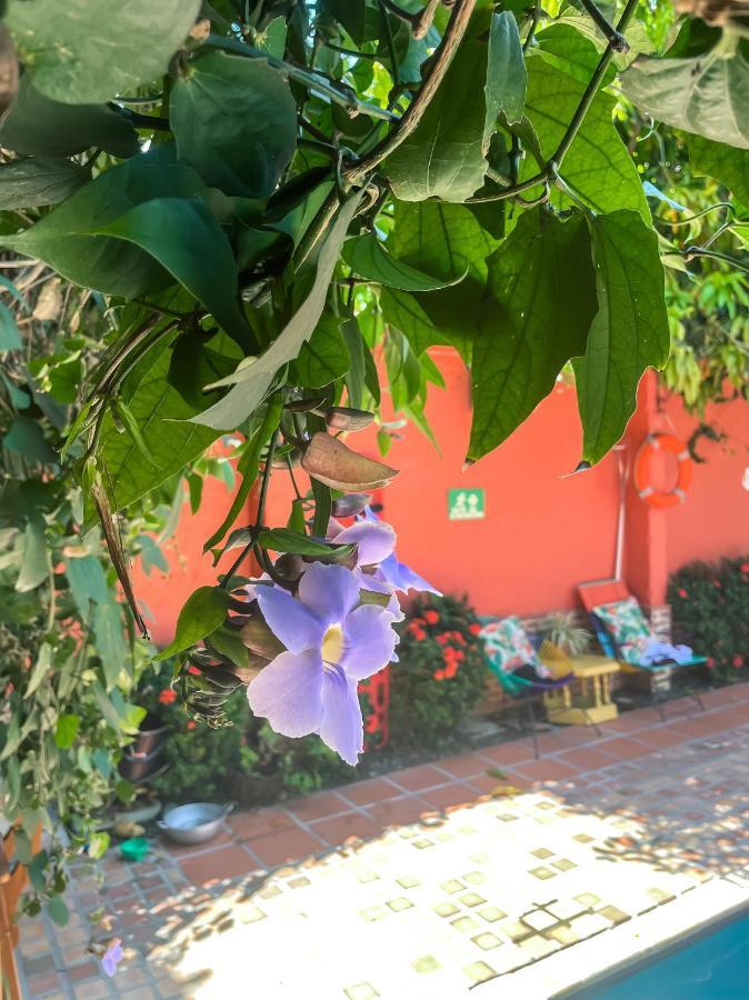 Hotel Casa De Verano - Solo Adultos - Santa Fe de Antioquia Eksteriør billede