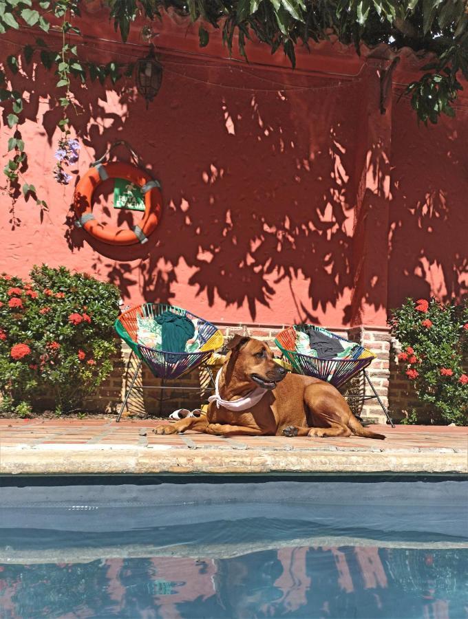 Hotel Casa De Verano - Solo Adultos - Santa Fe de Antioquia Eksteriør billede