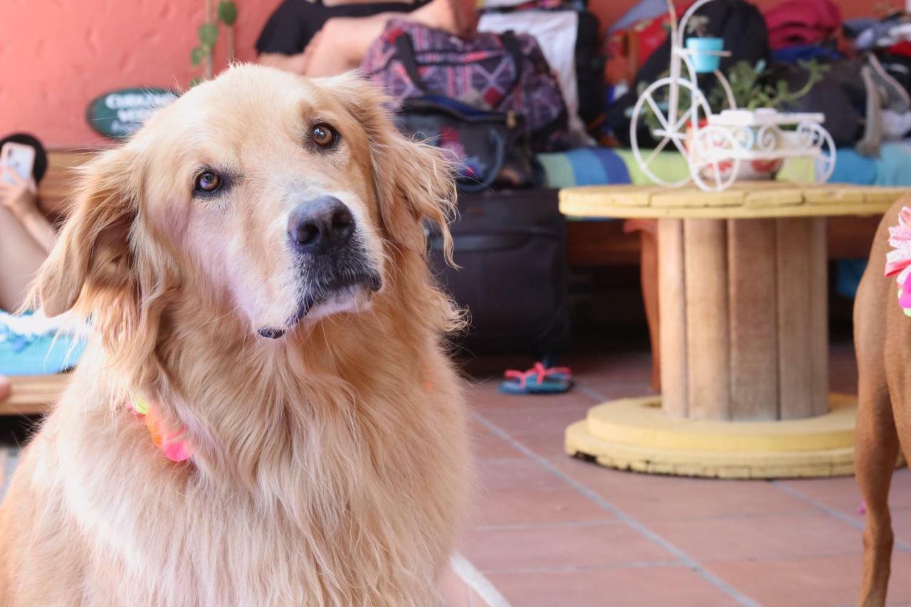 Hotel Casa De Verano - Solo Adultos - Santa Fe de Antioquia Eksteriør billede